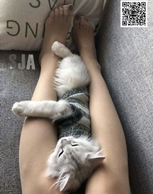 青青青手机兔费视频在线观看_青苹果乐园免费高清观看